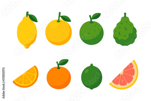 Colorful flat style citrus fruits: lemon, orange, lime, grapefruit, and more