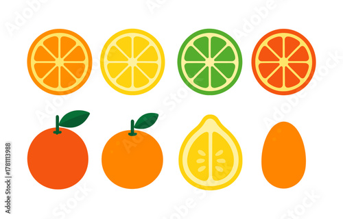 Colorful citrus fruits collection: sliced and whole oranges, lemons, limes