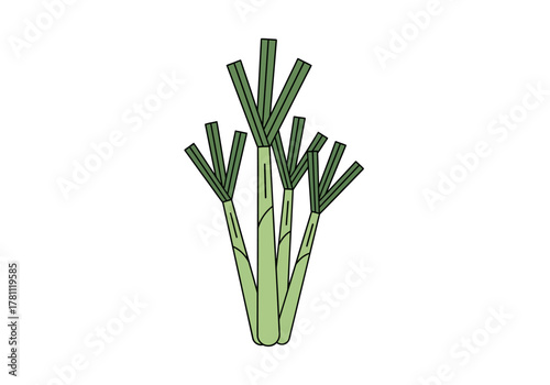 A cluster of four leeks with green blades and white stalks