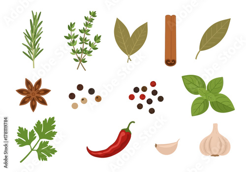 A collection of herbs and spices including rosemary thyme bay leaves cinnamon star anise pepper basil parsley chili garlic
