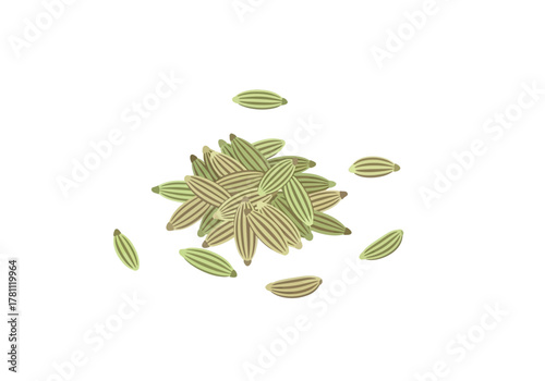 A pile of green and brown striped fennel seeds scattered on a white background