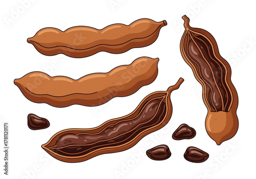 A tamarind pod illustration shows whole  opened pods plus scattered seeds on a white background