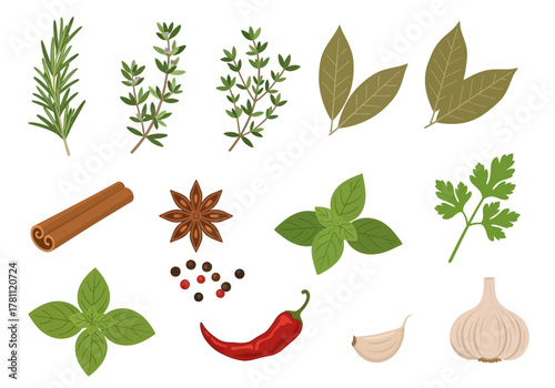 Flatstyle clipart depiction of various culinary herbs spices and vegetables neatly arranged on a white background
