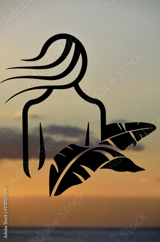 Silhouette of a woman at sunset