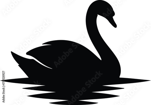Illustrator swan swimming elegant graceful water bird wildlife Silhouette vector