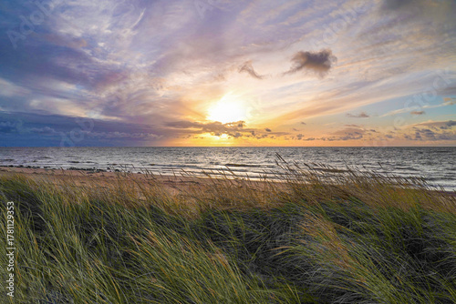 Fototapeta Naklejka Na Ścianę i Meble -  view of the Baltic Sea over the bent grass