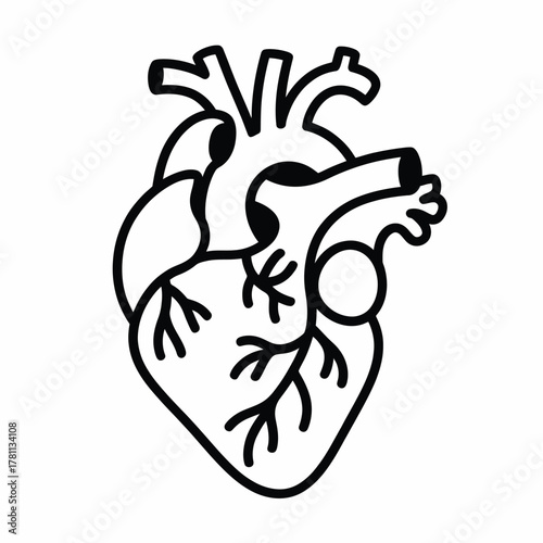 Simple outline drawing of a human heart with arteries and veins