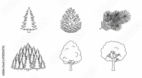 Simple outline drawings of pine trees, a pinecone, and deciduous foliage for a natural design vector illustration