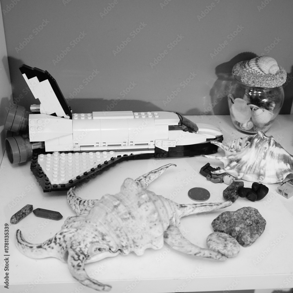 Obraz premium Black and white still life with a toy space shuttle and seashells