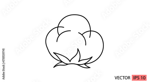 Simple line drawing of a cotton plant flower, showing its fluffy, white bloom.