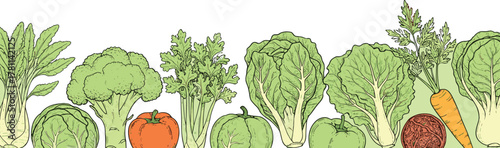 Cad drawing flat vector illustration, vegetable icons pack, healthy food, fresh produce, carrot, tomato, spinach, beetroot, cabbage, broccoli