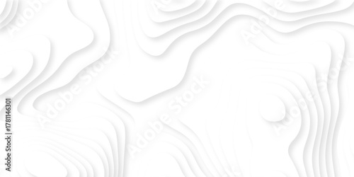 Abstract geography peak white wave paper curved reliefs. Seamless swirl wave contour maps. Vector illustration. topography line map.