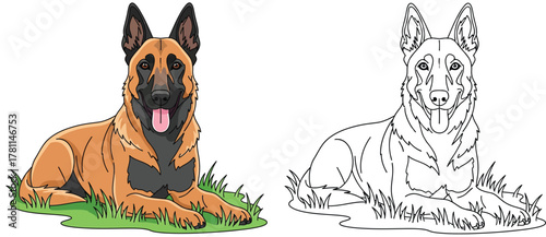 Belgian Malinois Dog Lying on Grass - Cartoon Style & Line Art Illustration for Coloring Book Pages or Graphic Resources