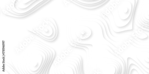 Abstract geography peak white wave paper curved reliefs. Seamless swirl wave contour maps. Vector illustration. topography line map.