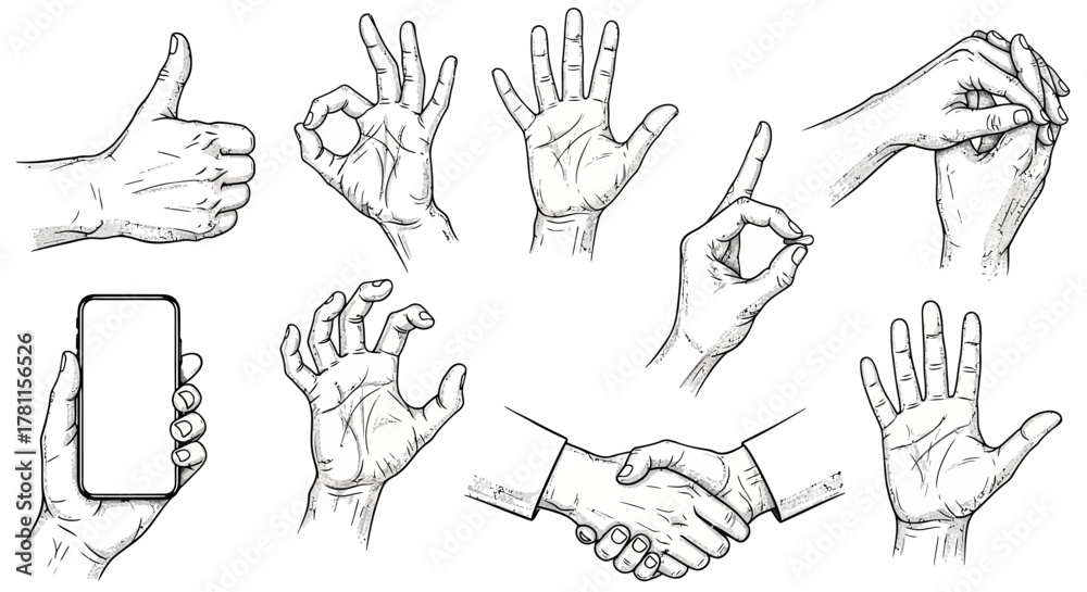 Fototapeta premium Diverse Hand Gestures Illustration Communication, Expression & Interaction
