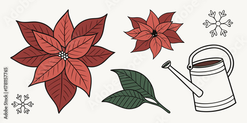 Illustration of poinsettia flowers, green leaves, snowflakes, and watering can