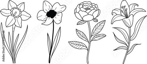 Detailed line art set of spring flowers including daffodil, peony, and lily