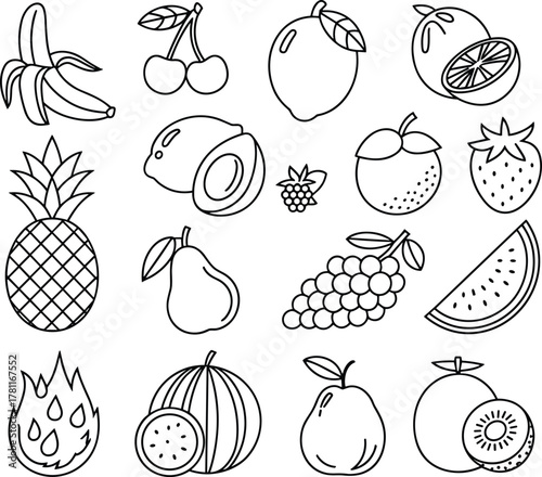 Outline vector collection of fresh tropical and common fruits, hand drawn style