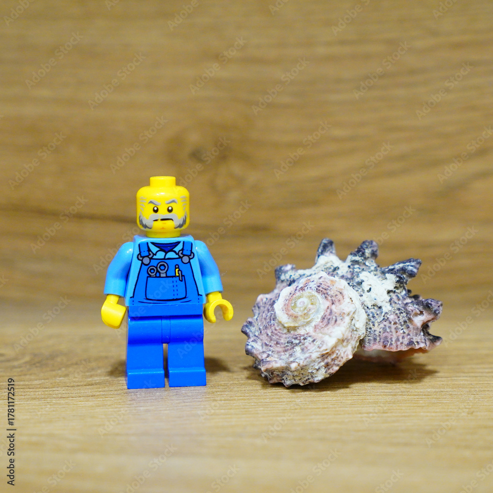 Fototapeta premium Lego minifigure with a seashell on a wooden surface, studio shot