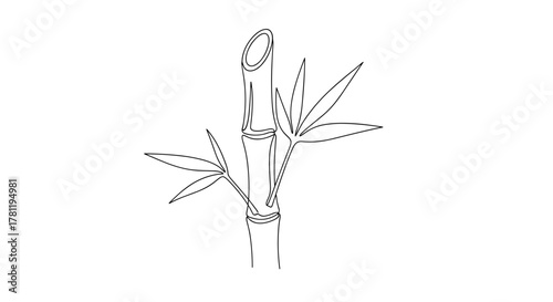 Bamboo plant illustration with leaves in minimalist design  