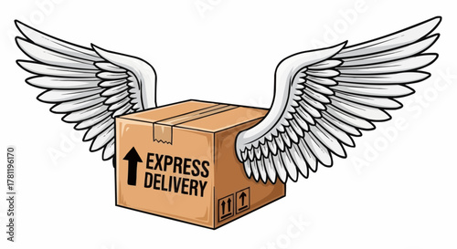 A cartoon depicting a parcel with wings, representing express delivery. The box has an upward arrow and the words express delivery. 