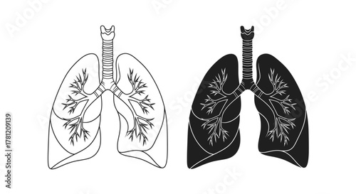 Anatomical Illustration of Human Lungs in Outline and Solid Black Styles