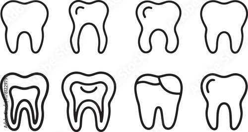 Human Tooth Structure and Oral Health Outline Molar Tooth Anatomy