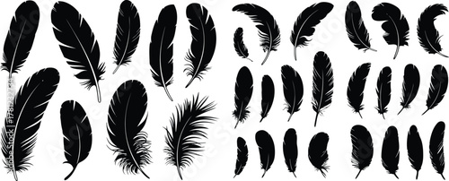 Collection of Detailed Black Feather Illustrations on White Background for Design Elements