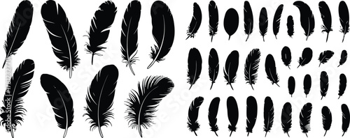 Collection of Detailed Black Feather Silhouettes Resource for Arts and Crafts Projects