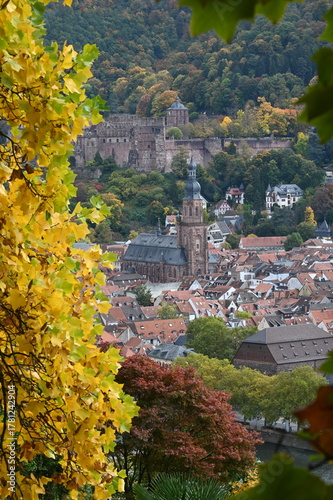 Blick auf die Heidelberger Atstadt eingerahmt von goldenem Herbstlaub