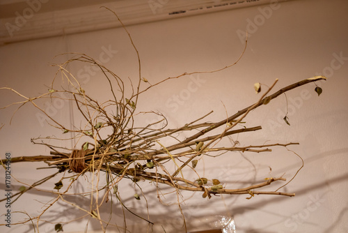 Rustic Natural Twigs and Dry Leaves Bunch