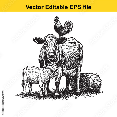 Farm animals including a cow, goat, and rooster standing together in a sketch style, vector editable eps file