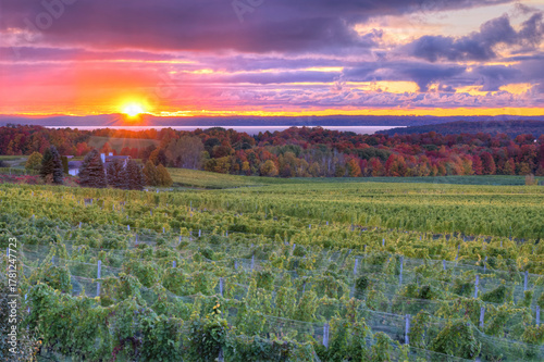 sunset over the field