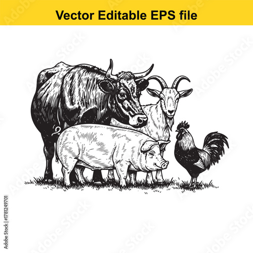 Vintage illustration of farm animals including a cow, pig, goat, and rooster