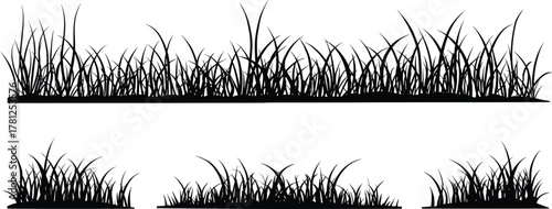 Black silhouette grass patches and meadow border, natural vegetation blades design, decorative landscape elements isolated vector illustration for artwork
