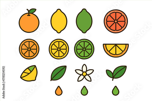Colorful set of whole and sliced citrus fruits including orange, lemon, lime, and grapefruit