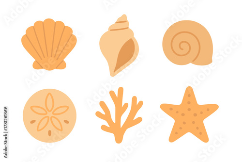 Stylized collection of various marine shells, coral, sand dollar, and starfish elements