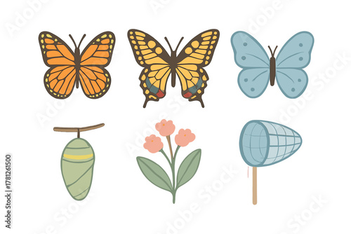 Colorful butterflies, monarch chrysalis, pink flower, and insect catching net set