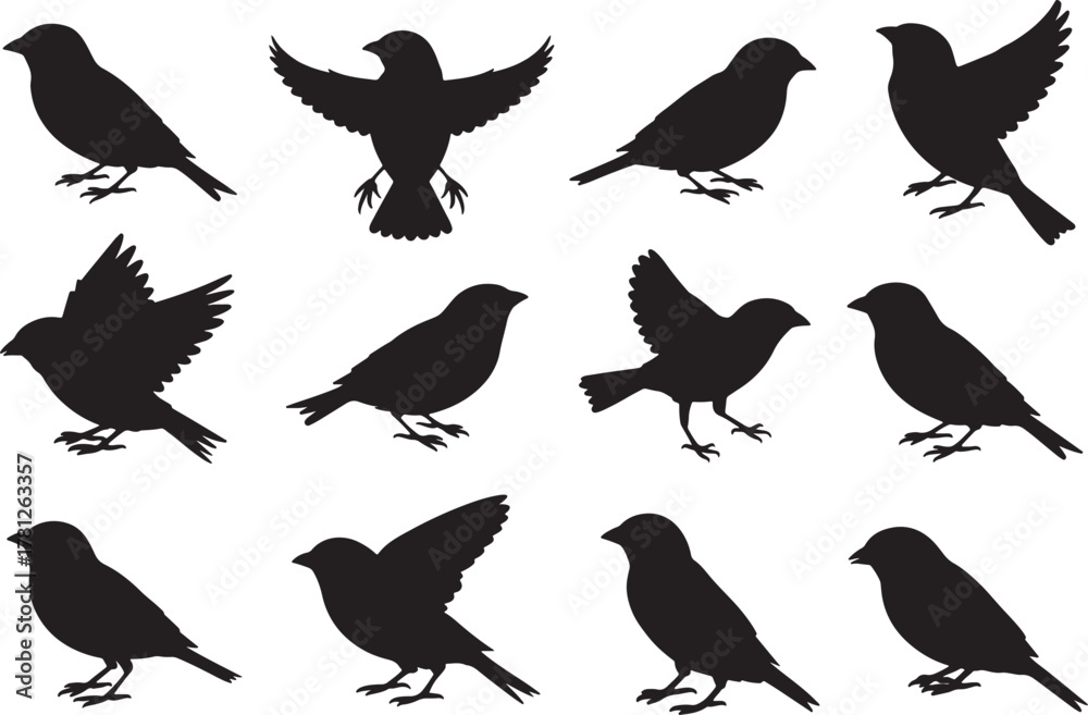 Fototapeta premium Flying Bird Silhouette Vector Set – Wildlife and Nature Icons