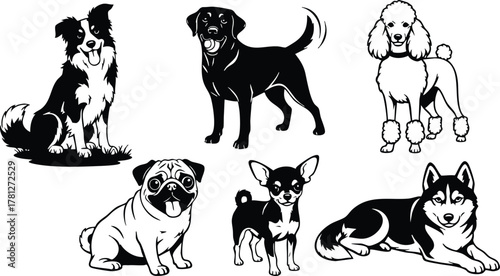 Various dog breeds vector illustration with border collie, labrador, poodle, pug, chihuahua, husky in black and white style 