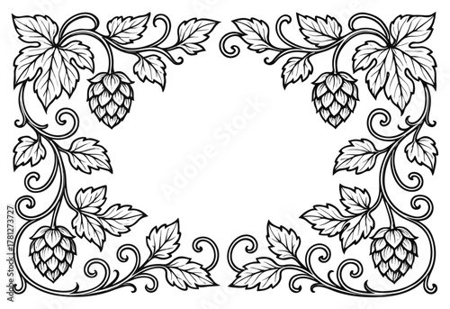 Decorative hops and vine frame, botanical vintage border illustration for labels or design.