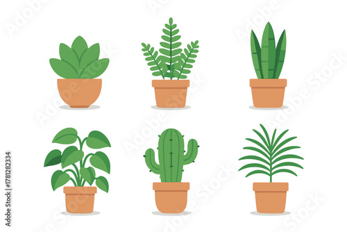 Collection of six popular indoor houseplants in terracotta pots featuring various green foliage and a cactus