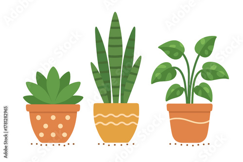 Stylized collection of three popular indoor houseplants in decorative terracotta pots