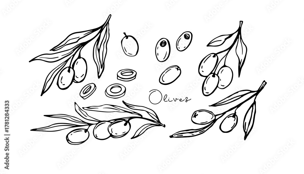 Fototapeta premium Olive branches, Fruits hand drawn doodle sketch. Vegetable for Mediterranean or vegan diet, organic cosmetics, for advertising, packaging. For menu, cafe, restaurant, poster, banner, emblem, sticker