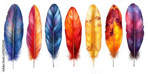 Collection set of color feathers isolated on transparent or white background