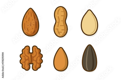 Healthy nuts and seeds set including almond peanut walnut and sunflower seed