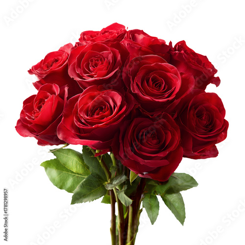 Elegant Bouquet of Red Roses Displayed Against a Clean Background