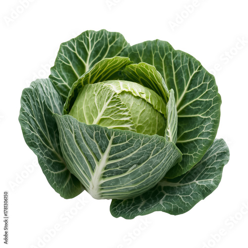 Fresh Green Cabbage With Vibrant Leaves on White Background for Healthy Cooking.