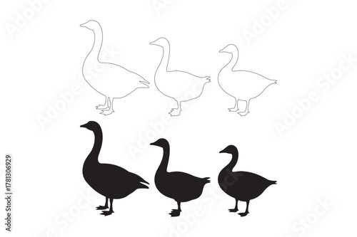 Three geese silhouettes and outline drawings