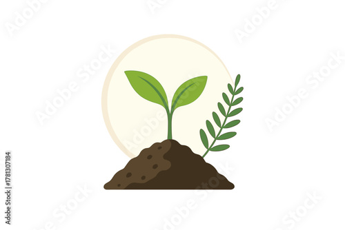 Young green plant seedling sprouting from a mound of dark soil next to a fern leaf